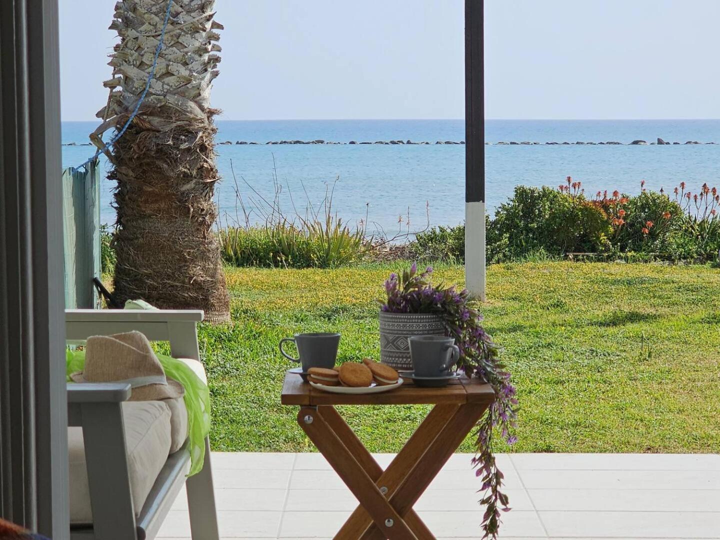 Ammos Beachfront Villa Paradise Larnaca Exteriér fotografie