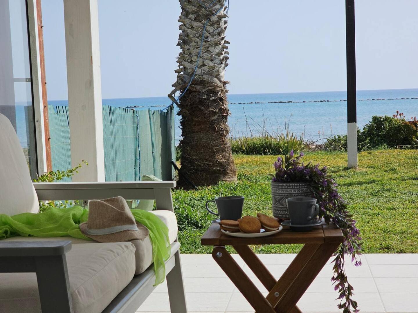 Ammos Beachfront Villa Paradise Larnaca Exteriér fotografie